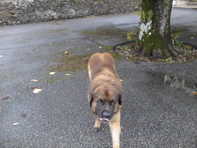 09300132.jpg