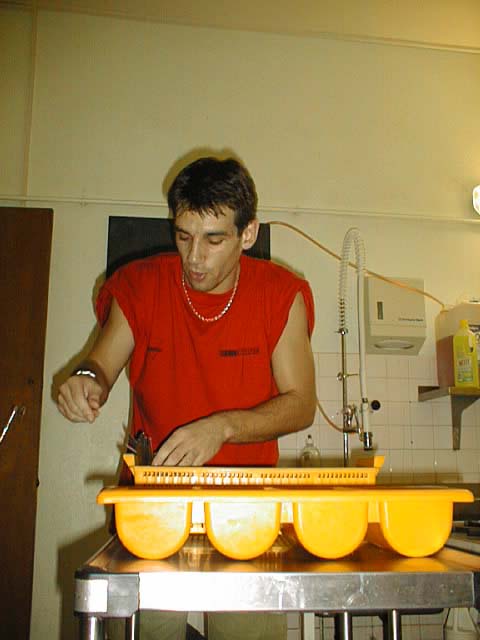 09300255.jpg