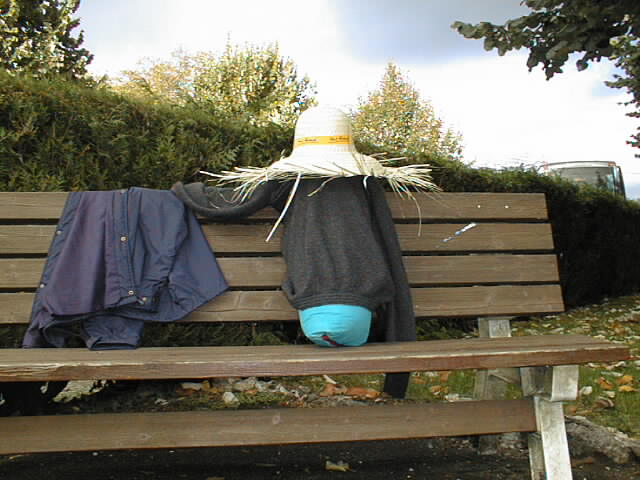 10010324.jpg